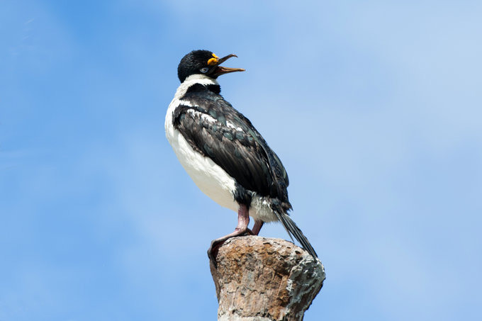 大洋港图片 大洋港图片