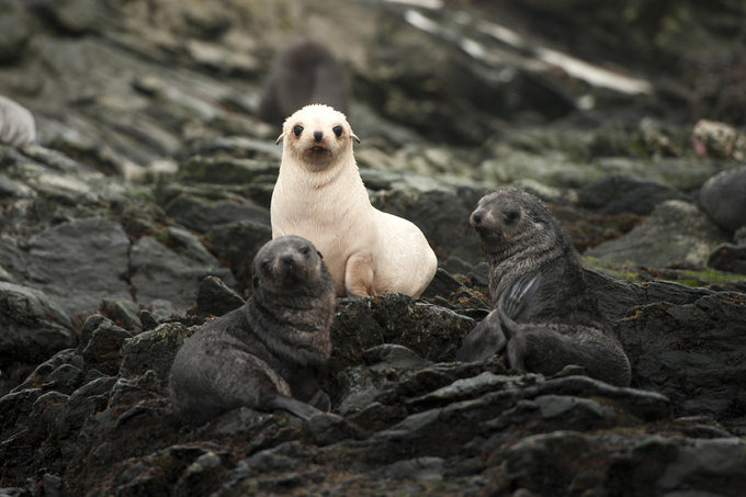 Cooper Bay图片 Cooper Bay图片