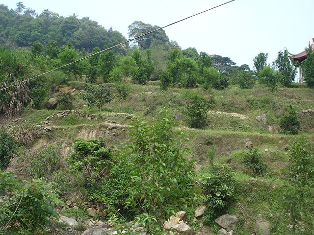 北溪文苑风景区