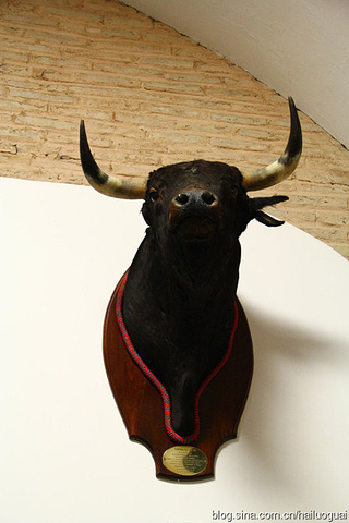 据解说员说现场观看斗牛比赛的票价从25欧到