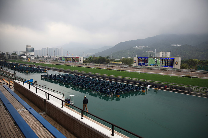 2017跑马地一般每周三晚上举行赛赛_沙田马场