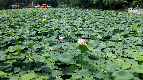 2017【宝鸡旅游景点大全】宝鸡有什么好玩的