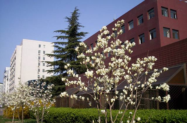 北京航空航天大学