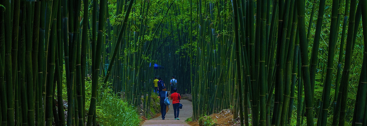你意想不到的美丽的赤水