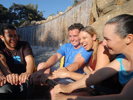 Neverland,Wonderland