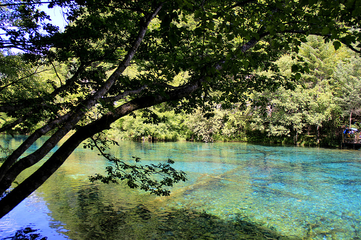 铃海由大小金铃海组成是,它是九寨最小,最美的湖泊之一,一大一小两个