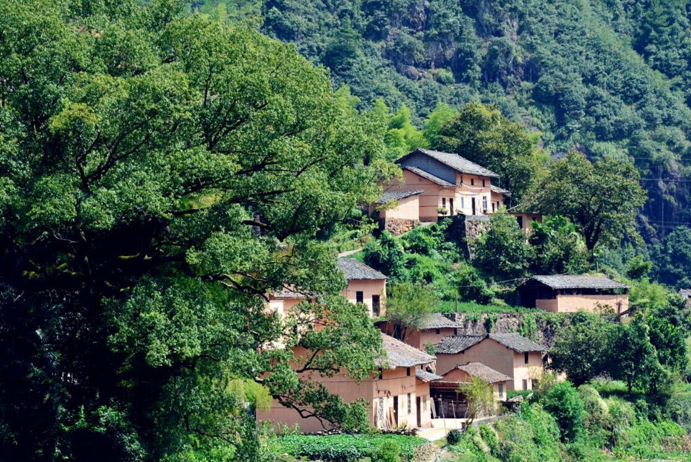 收获的季节，我在遂昌-旅游攻略-游记-去哪儿攻略