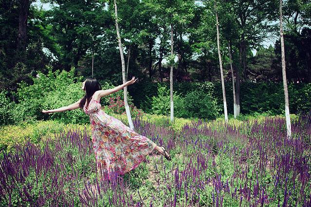 面朝大海,等待春暖花开