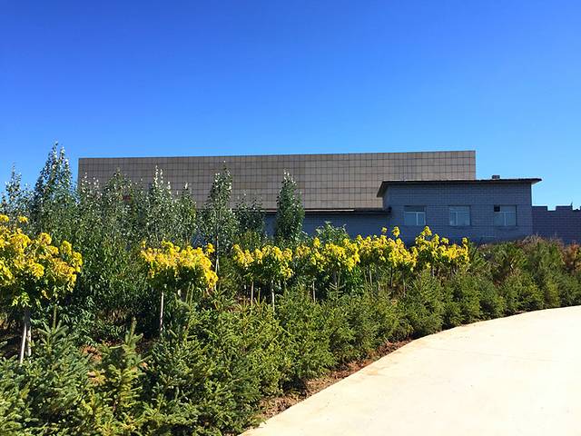 老虎山生态公园