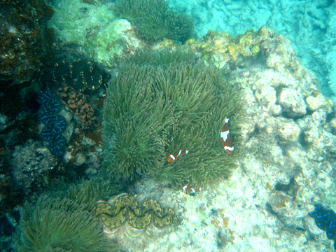 大停泊岛旅游景点攻略图