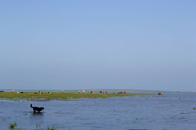 阿尔山世界地质公园-七仙湖草原