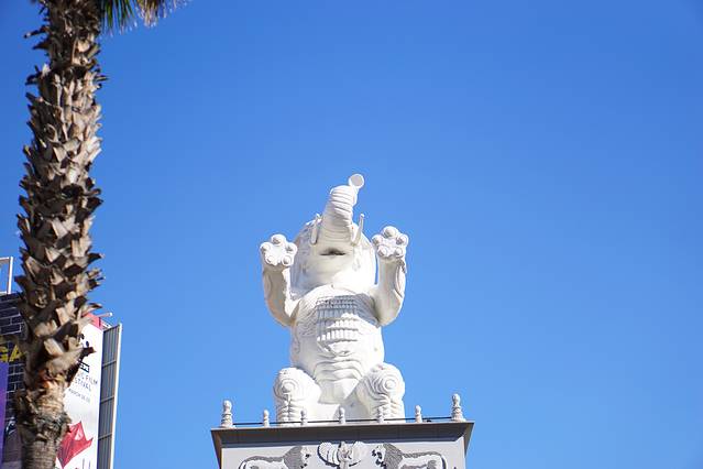 海哥•星光大道