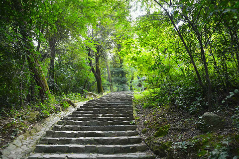 岳麓山旅游景点攻略图