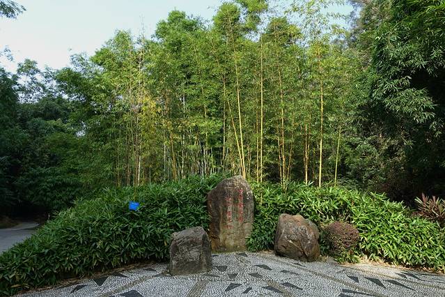 福州国家森林公园