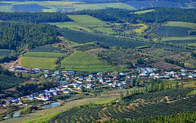 帽儿山国家森林公园