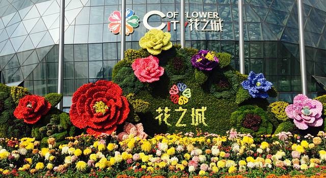 七彩【花之城】,鲜花盛开的地方!