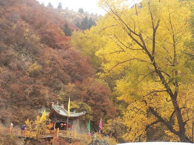 引大入秦水利灌溉农业旅游区