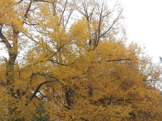 引大入秦水利灌溉农业旅游区