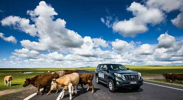 一路向北--一群南方孩纸的北行自驾游