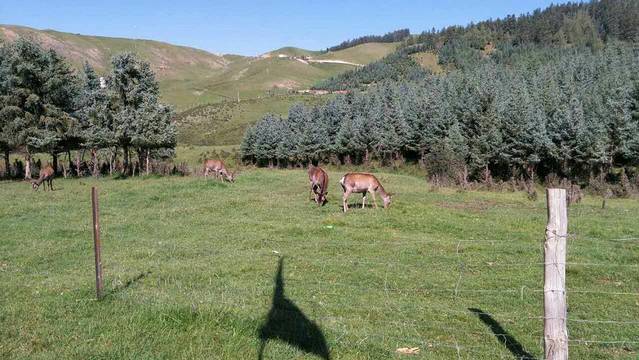 裕固风情走廊景区