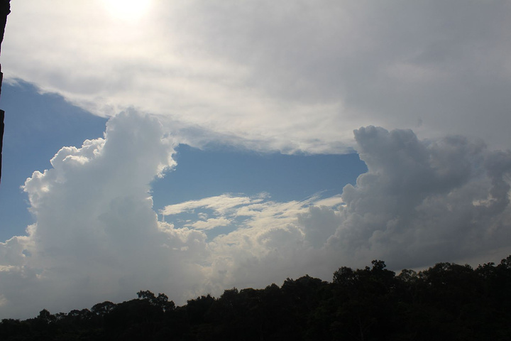拍过的日出,但是很满足,对了,这个树,怎么看都像龙珠里,那美克星的树