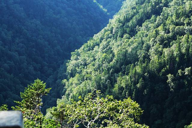 凤凰山国家森林公园