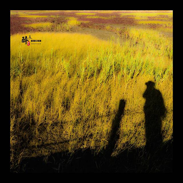 双台河口自然保护区