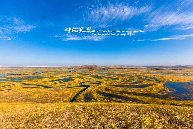 呼伦贝尔大草原
