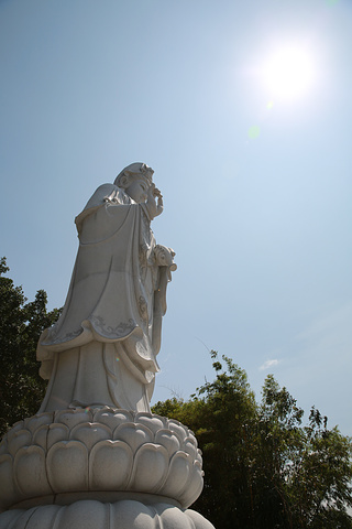 2017观世音菩萨 拜一拜观世音菩萨正像天王殿