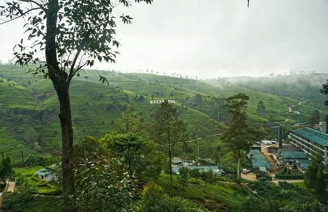 寻梦斯里兰卡·印度洋的一滴泪