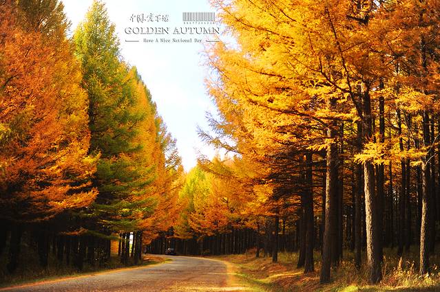 河北省塞罕坝机械林场总场大唤起林场