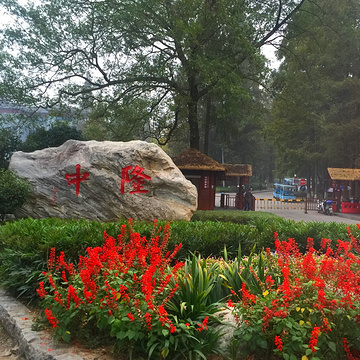 2021古隆中-旅游攻略-门票-地址-问答-游记点评，襄阳旅游旅游景点推荐-去哪儿攻略