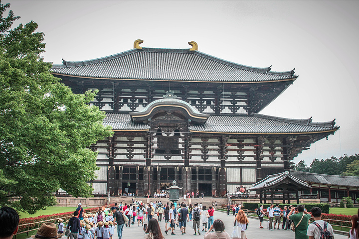 2017位于平城京(今奈良)东，是南都七大寺之一_东大寺评论 - 去哪儿攻略社区