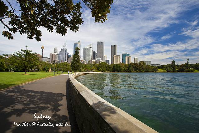 麦考利夫人座椅