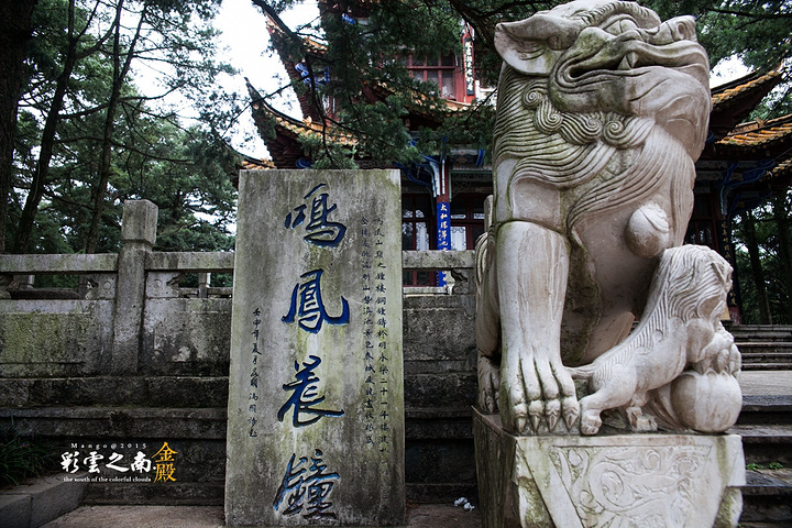 "院内有个茶花园，收集了全球各地的茶花品种，有些名字还挺有意思，叫荷花的茶花，碧血丹心，玫瑰什么的……_金殿公园"的评论图片