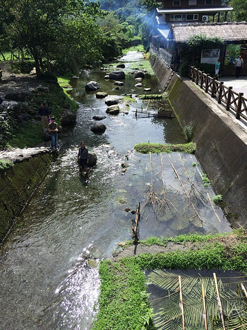 "这里是原住民生活的部落～中饭超好吃 营养又美味 有一种很大的烤鱼叫台湾雕不错哦_马太鞍湿地生态园区"的评论图片