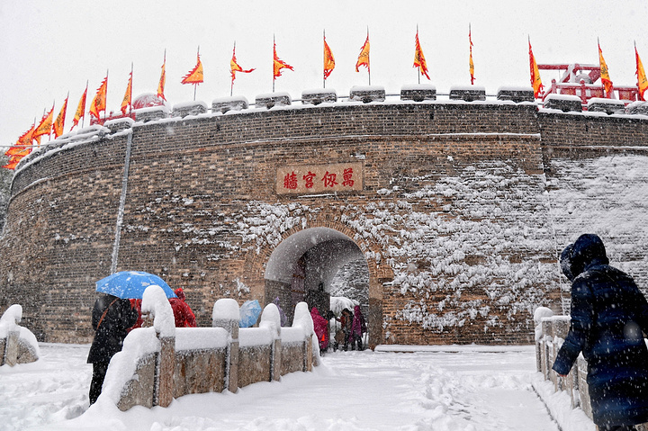 "...泛滥，亲眼目睹了这一惨烈现象：千年古柏的枝干在暴雪的重压下，不时发出可怕的断裂声，轰然折断落地_孔庙"的评论图片