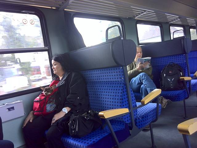 心丢失的地方,遇见德国