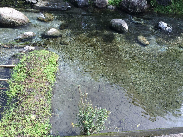 "这里是原住民生活的部落～中饭超好吃 营养又美味 有一种很大的烤鱼叫台湾雕不错哦_马太鞍湿地生态园区"的评论图片