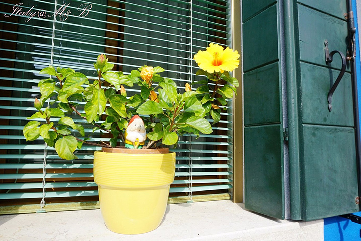 2018从威尼斯主岛火车站和玻璃岛都有船到彩