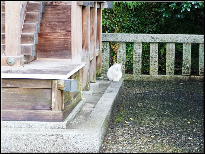 奔跑吧萱妈！带你去日本吃喝玩乐！-福冈旅游攻略-游记-去哪儿攻略