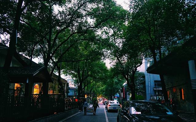 樟树林文化生活公园