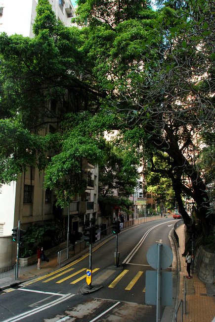 简单记录,匆匆香港行_香港旅游攻略