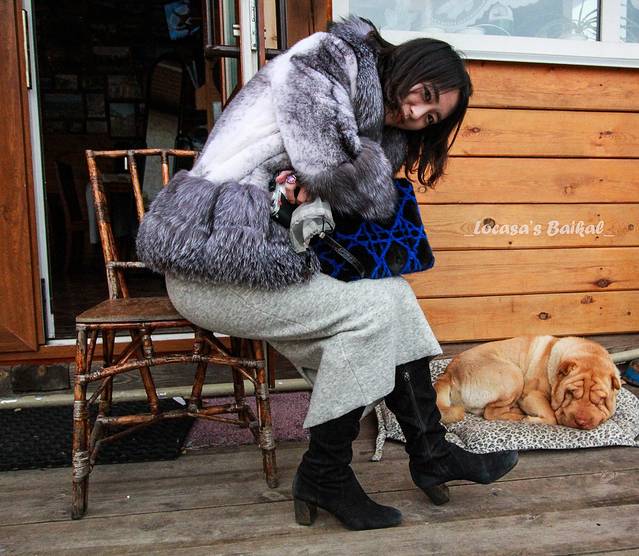 橘子树有名的狗,懒懒的,憨憨的,叫星星.