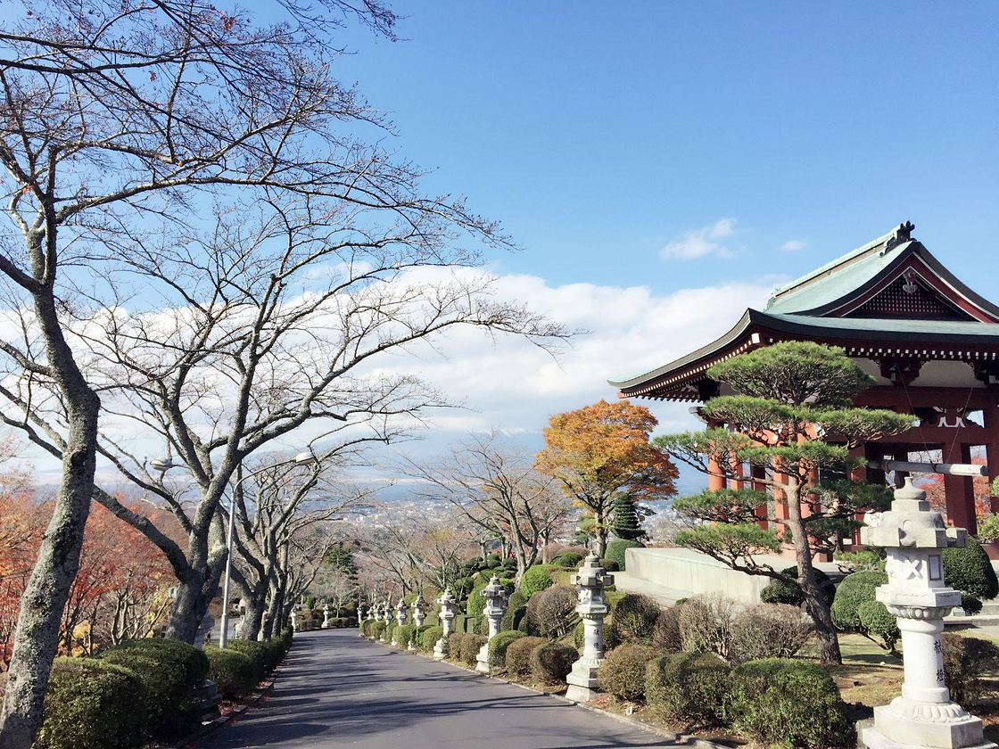 入冬的日本 有你陪我 东京旅游攻略 游记 去哪儿攻略