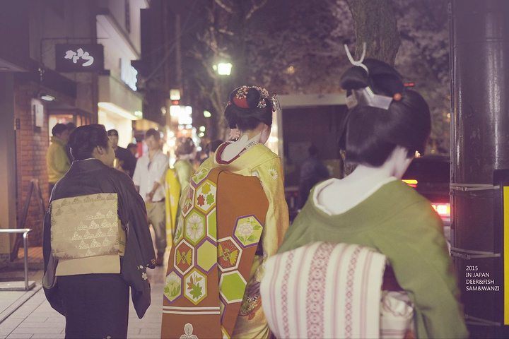 "听说很多居酒屋可以喝着小酒，观赏鸭川夜景。时尚商业化的酒吧街，却流动着百年古老的气息_先斗町"的评论图片