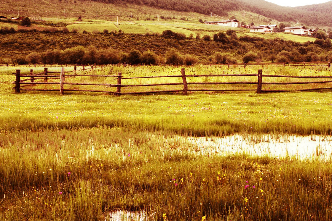香格里拉父子背包行摄