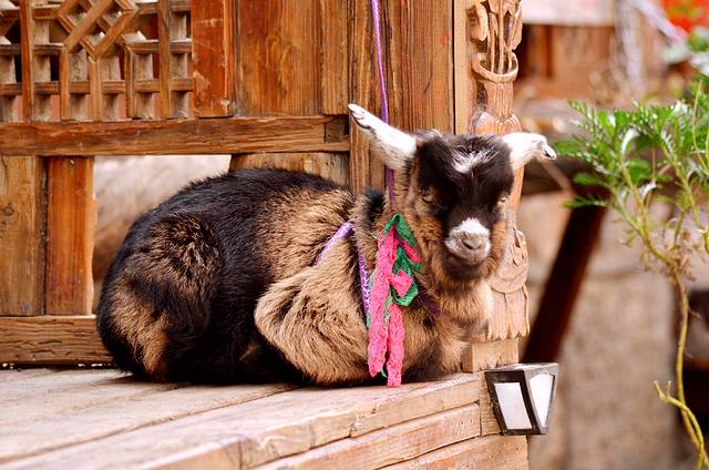 花制作原创民族风服饰