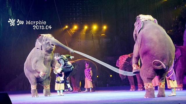 广州长隆国际大马戏