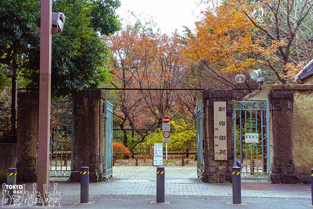 新宿御苑